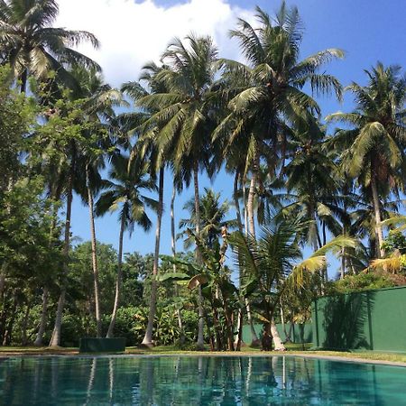 Hettimulla River House Bentota Exterior foto