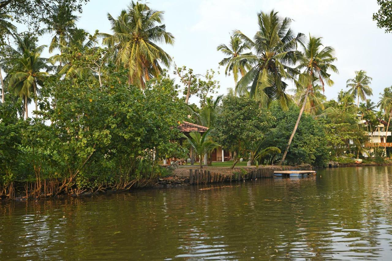 Hettimulla River House Bentota Exterior foto